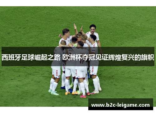 西班牙足球崛起之路 欧洲杯夺冠见证辉煌复兴的旗帜